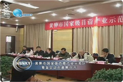 现金网官网