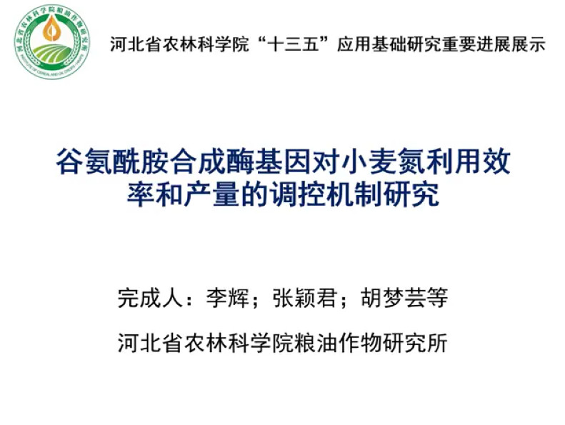 现金网官网