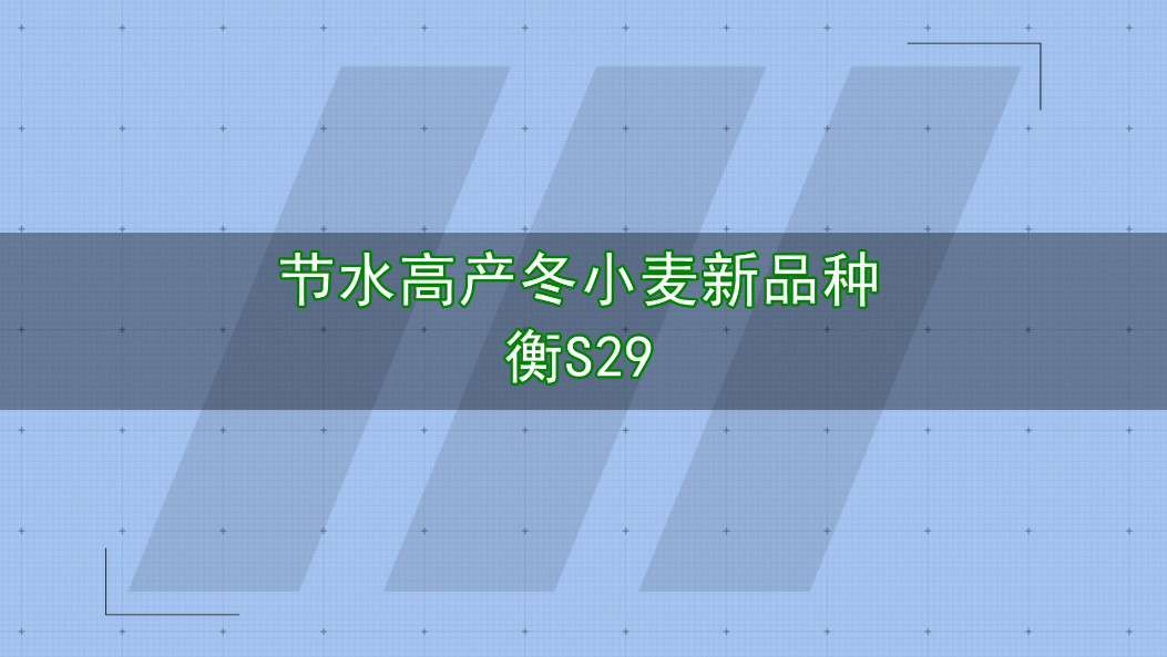 现金网官网